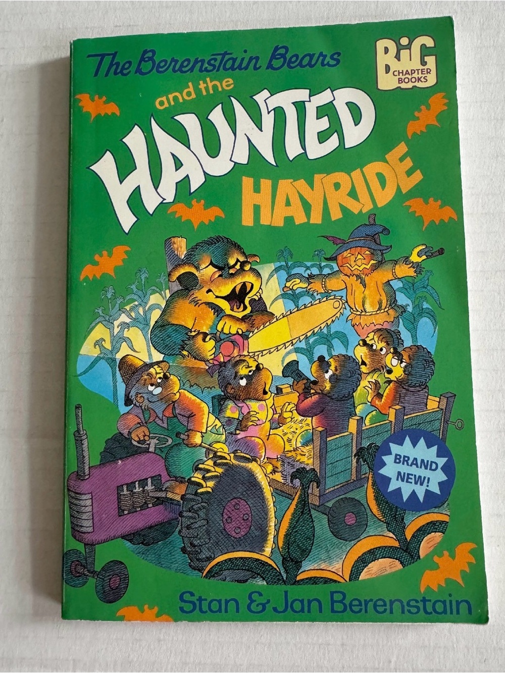 Vintage Berenstain Bears Haunted Hayride Chapter Book